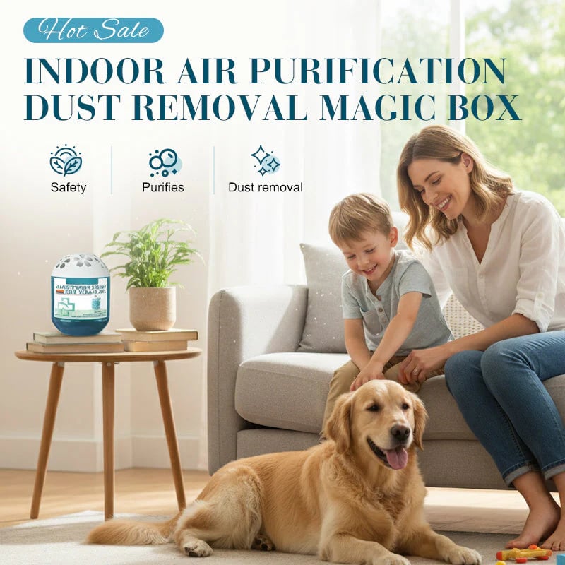 Air Purifying Dust Removal Magic Box