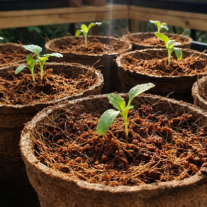 350g Organic Coco Coir Brick for Plants – Expandable Coconut Fiber Growing Medium