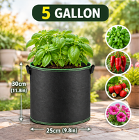 5 Gallon/5 pcs