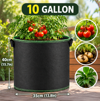 10 Gallon/5 pcs