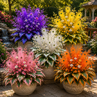 Mixed color