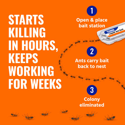 TERRO Ant Killer Bait Stations T300 - Liquid Bait to Eliminate Ants - Bait System - 6 Count Stations for Effective Indoor Ant Control
