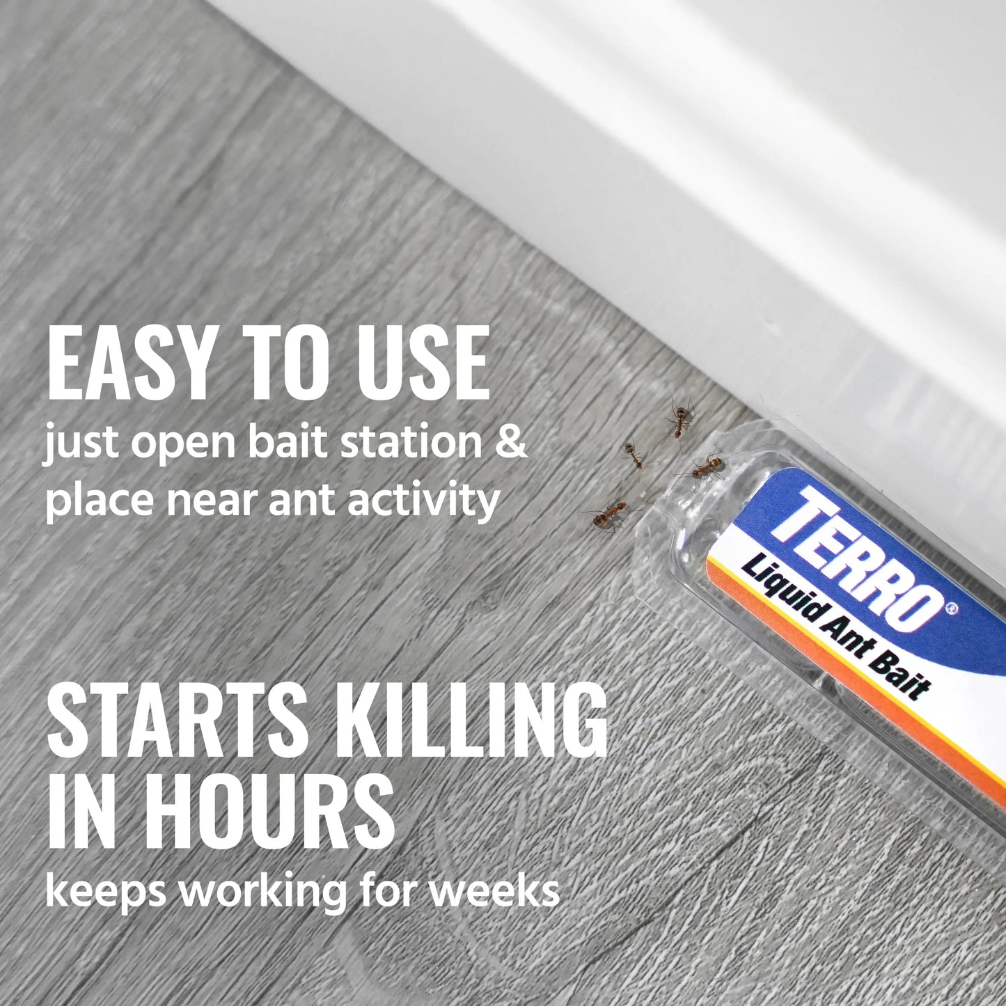 TERRO Ant Killer Bait Stations T300 - Liquid Bait to Eliminate Ants - Bait System - 6 Count Stations for Effective Indoor Ant Control