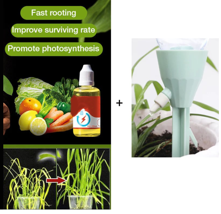 Natural Plant Growth Enhancer