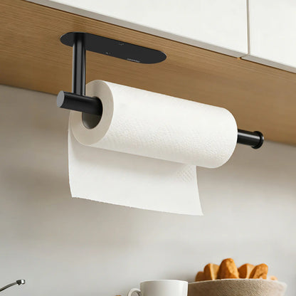 Stainless Steel Wall Mount Paper Towel Holder