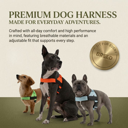 Adjustable No Pull Dog Harness Lightweight Comfortable Fit