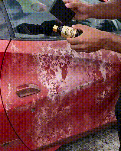 Car Ceramic Coating Agent – Glass Shield Pro 100 ml