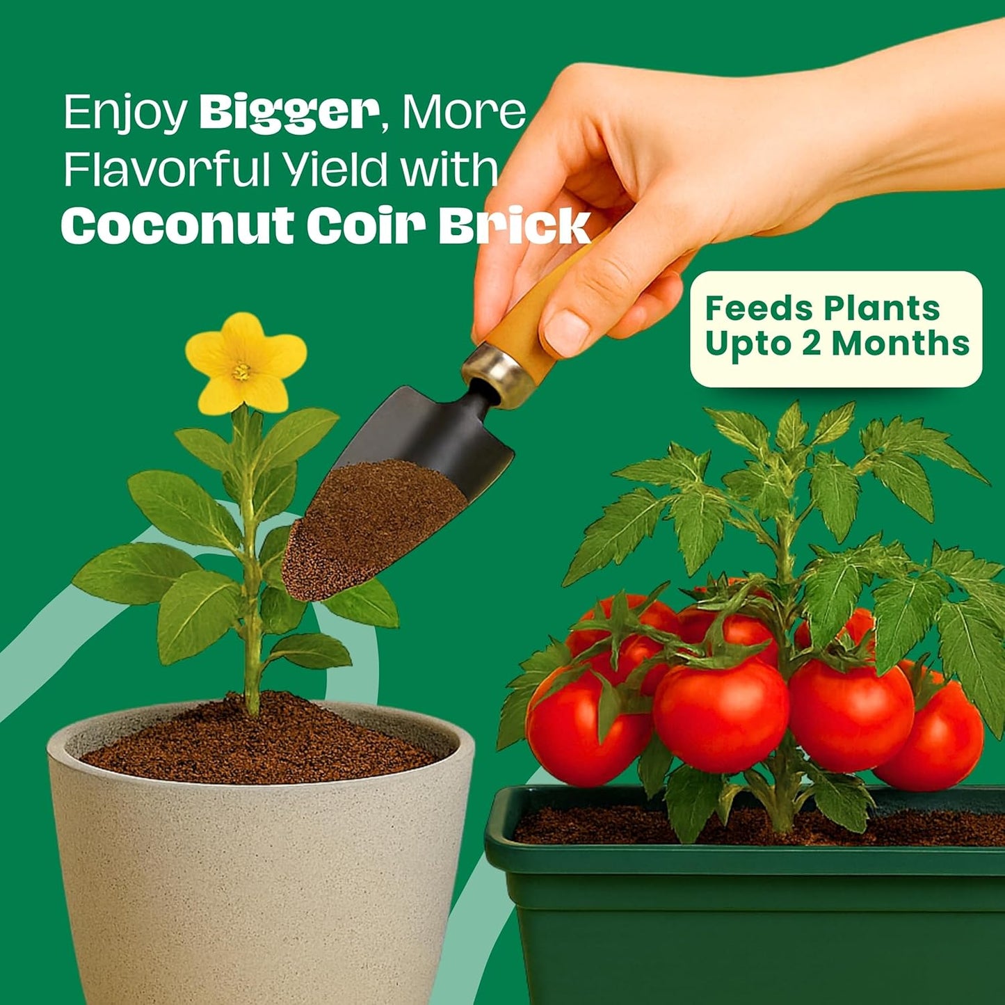 350g Organic Coco Coir Brick for Plants – Expandable Coconut Fiber Growing Medium