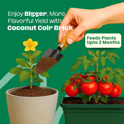 350g Organic Coco Coir Brick for Plants – Expandable Coconut Fiber Growing Medium