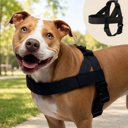 Adjustable No Pull Dog Harness Lightweight Comfortable Fit