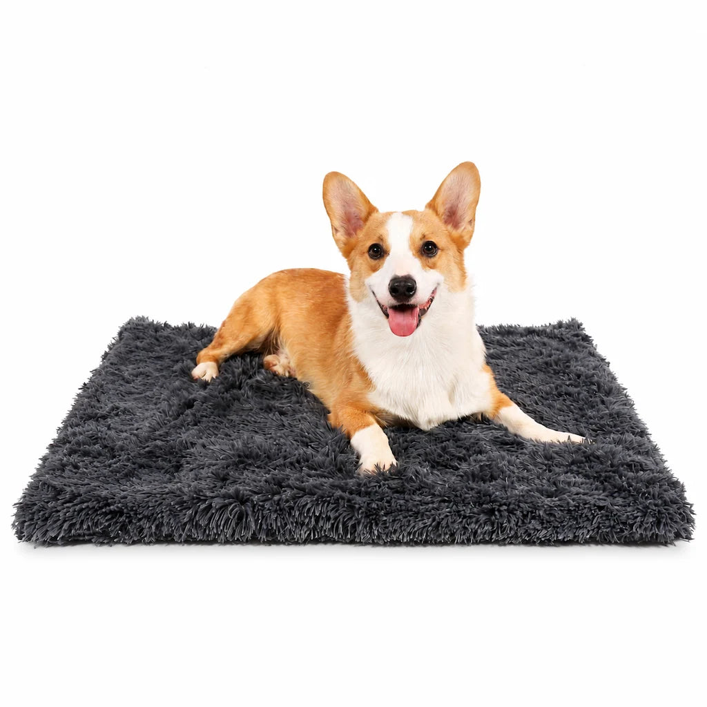 🥳2026 HOT SALE🥳💞50K+ SOLD! 🐾🛏️ 50% OFF! Soft Plush Double Layer Pet Blanket – cloud-soft warmth for dogs & cats, protects furniture & machine washable. Cosy comfort anywhere! 🛡️💚