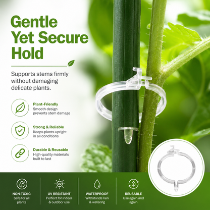 Plant Support Clips, Upright Growth Support for Tomato & Grape Vines【100pcs】