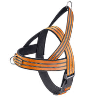 Orange with reflective accents