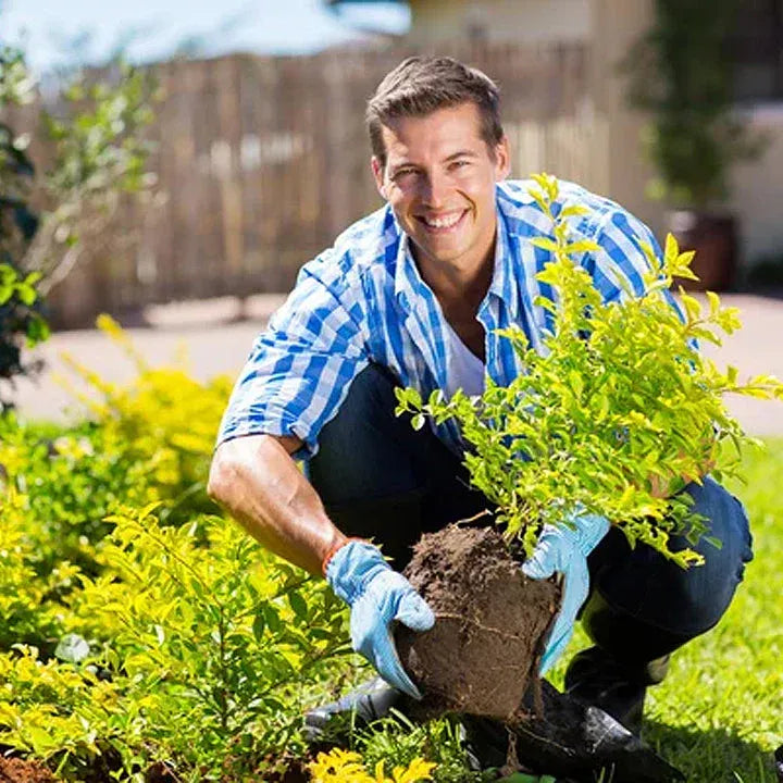 75K+ SOLD! 🌳Soil Pro Activator - BUY 1 GET 2 FREE