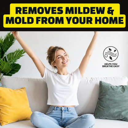 Multi Purpose Stain Remover Spray
