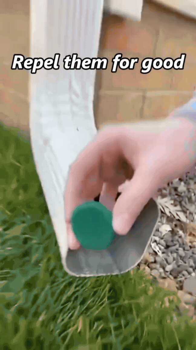 Rodent repellent product detail 9