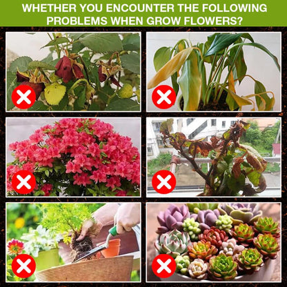 Natural Plant Growth Enhancer