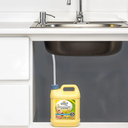 Dish Soap Dispenser for Kitchen Sink Brushed Nickel