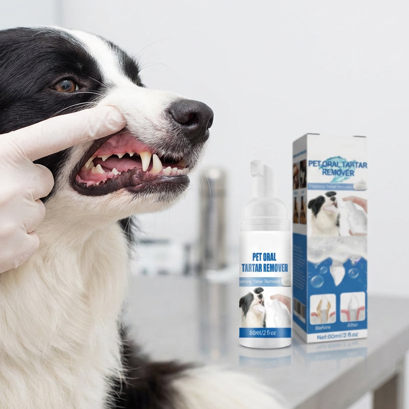 ✨Pet Oral Care Foaming Tartar Remover