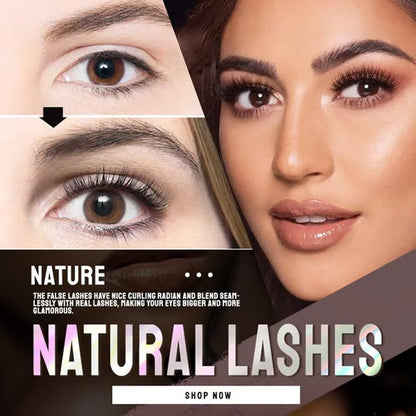 🔥2026 Hot Sale 50% OFF✨Reusable Self-Adhesive False Eyelashes