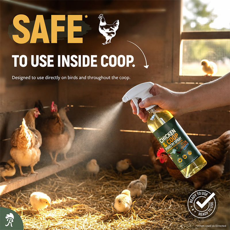 🔥 Buy 2 Get 1 FREE🐔Botanical Poultry Coop Cleaner Spray | 🌿Lemongrass & Peppermint, Repels Flies & Mites, Safe for Birds & Housing