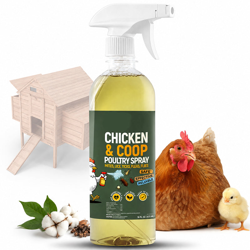 🔥 Buy 2 Get 1 FREE🐔Botanical Poultry Coop Cleaner Spray | 🌿Lemongrass & Peppermint, Repels Flies & Mites, Safe for Birds & Housing