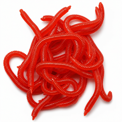 ⏳Limited-time BUY 1 GET 1 FREE⏰Simulation Earthworm Soft Fishing Lures🎣🪱